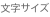 文字サイズ