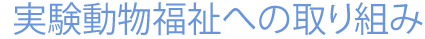 実験動物福祉への取り組み